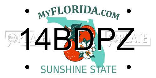 14BDPZ Florida License Plate