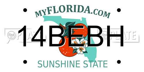 14BEBH Florida License Plate
