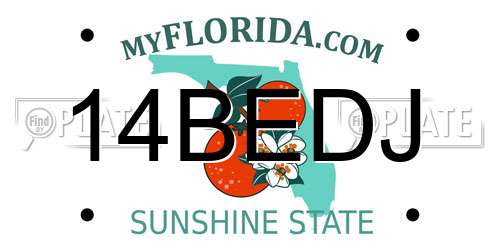 14BEDJ Florida License Plate