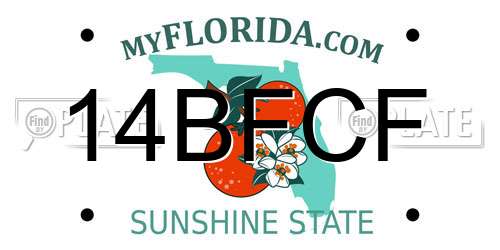 14BFCF Florida License Plate