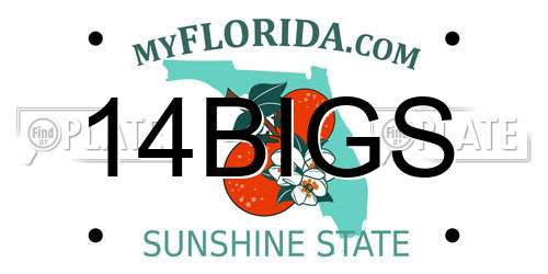 14BIGS Florida License Plate