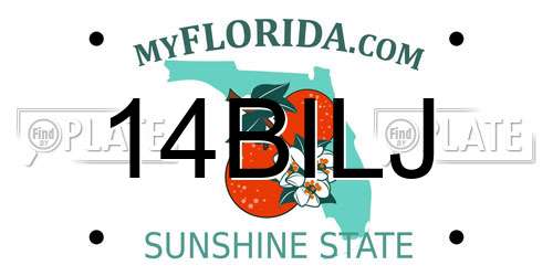 14BILJ Florida License Plate