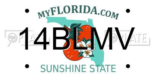 14BLMV Florida License Plate