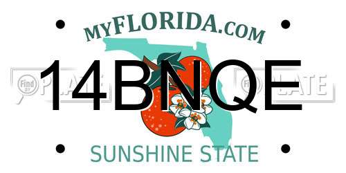 14BNQE Florida License Plate