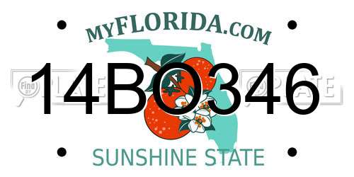 14BO346 Florida License Plate