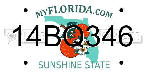 14BQ346 Florida License Plate