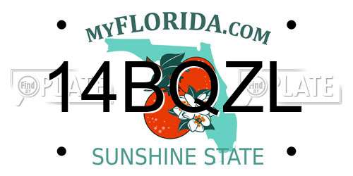 14BQZL Florida License Plate