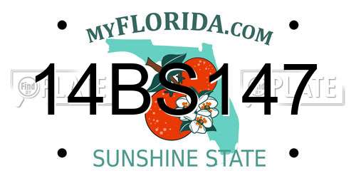 14BS147 Florida License Plate