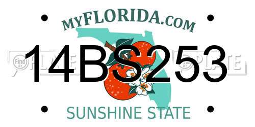 14BS253 Florida License Plate
