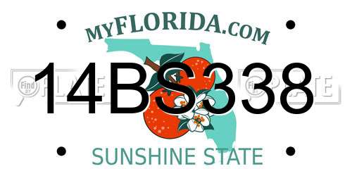 14BS338 Florida License Plate