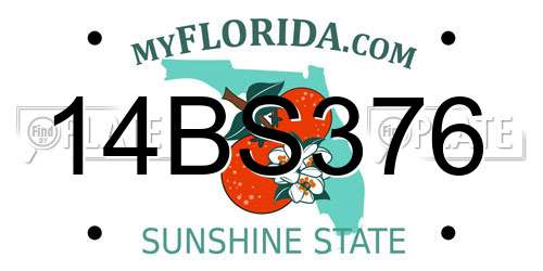 14BS376 Florida License Plate