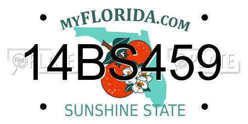 14BS459 Florida License Plate