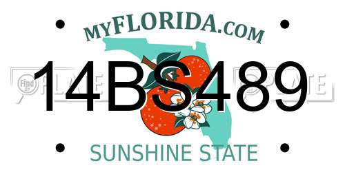 14BS489 Florida License Plate