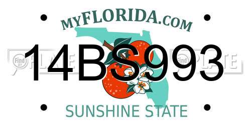 14BS993 Florida License Plate
