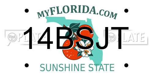 14BSJT Florida License Plate