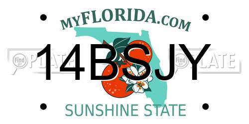 14BSJY Florida License Plate
