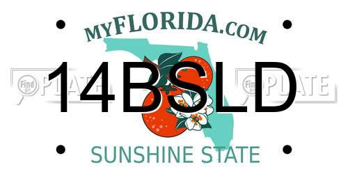14BSLD Florida License Plate