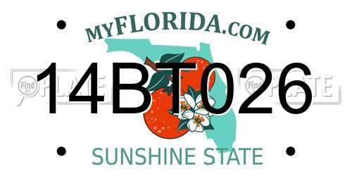 14BT026 Florida License Plate