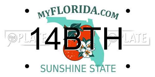 14BTH Florida License Plate