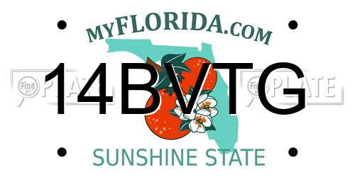 14BVTG Florida License Plate