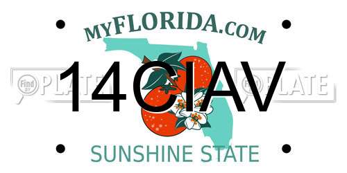 14CIAV Florida License Plate