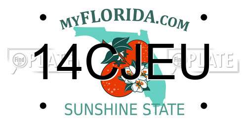 14CJEU Florida License Plate