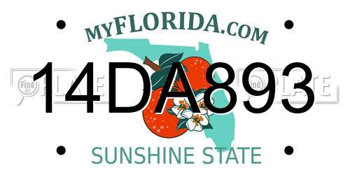14DA893 Florida License Plate