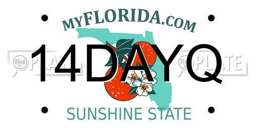 14DAYQ Florida License Plate