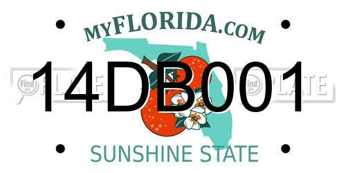 14DB001 Florida License Plate