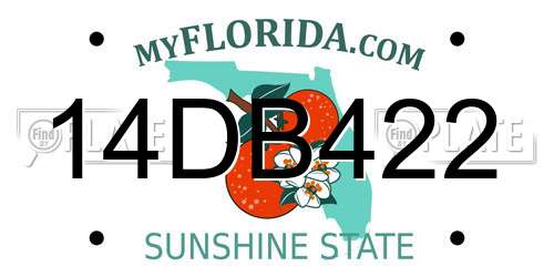 14DB422 Florida License Plate