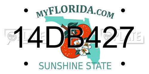 14DB427 Florida License Plate