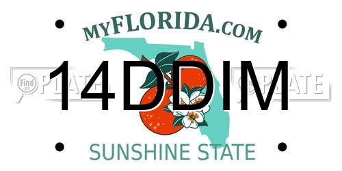 14DDIM Florida License Plate