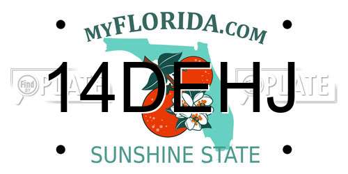 14DEHJ Florida License Plate