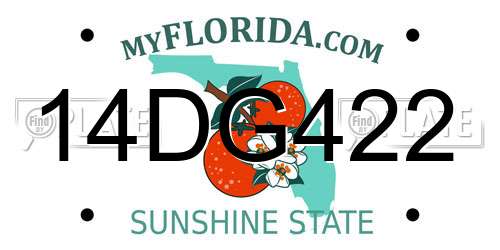 14DG422 Florida License Plate
