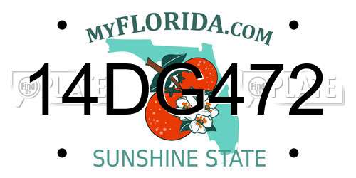 14DG472 Florida License Plate