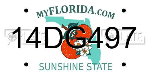 14DG497 Florida License Plate