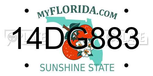 14DG883 Florida License Plate