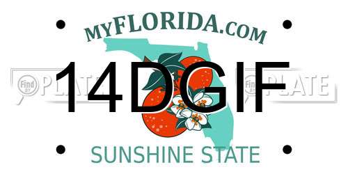 14DGIF Florida License Plate