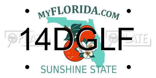 14DGLF Florida License Plate