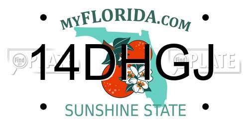 14DHGJ Florida License Plate