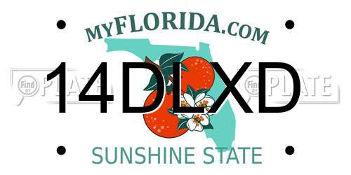 14DLXD Florida License Plate