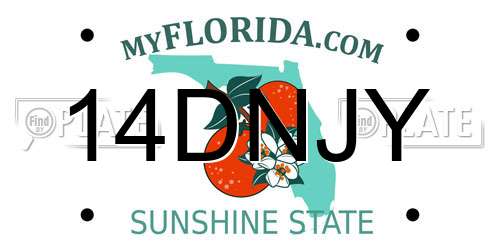 14DNJY Florida License Plate