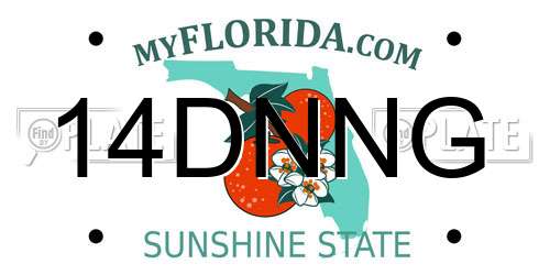14DNNG Florida License Plate
