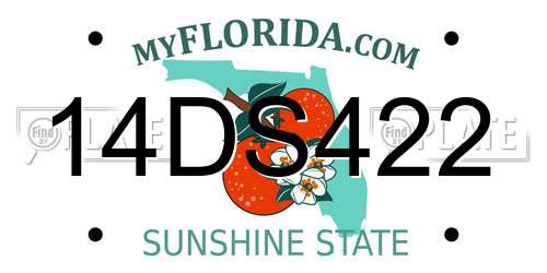 14DS422 Florida License Plate