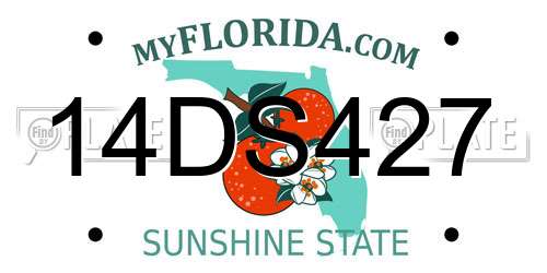 14DS427 Florida License Plate