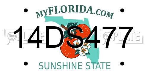 14DS477 Florida License Plate