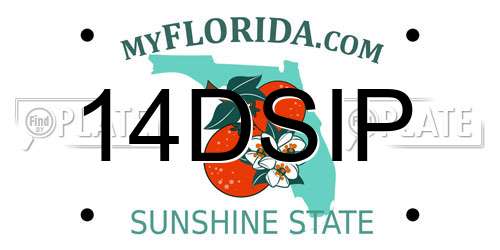14DSIP Florida License Plate