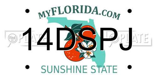 14DSPJ Florida License Plate