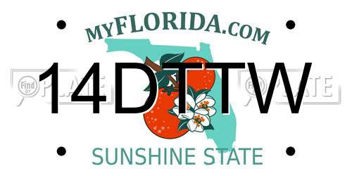 14DTTW Florida License Plate