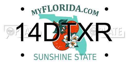 14DTXR Florida License Plate